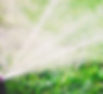 Water Sprinkler