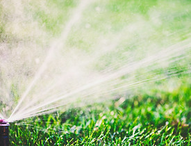 Water Sprinkler