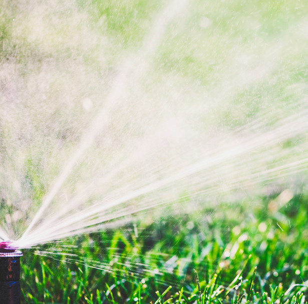 Sprinkler on Lawn