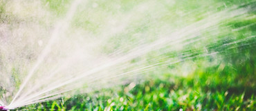 Water Sprinkler
