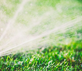 Water Sprinkler
