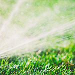 Water Sprinkler