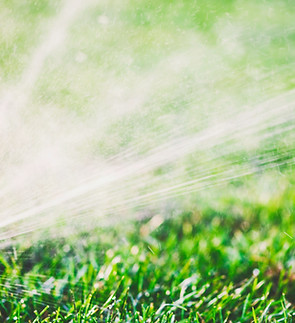 Sprinkler on Lawn