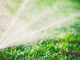 Read the 2021 Water Report