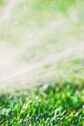 Water Sprinkler