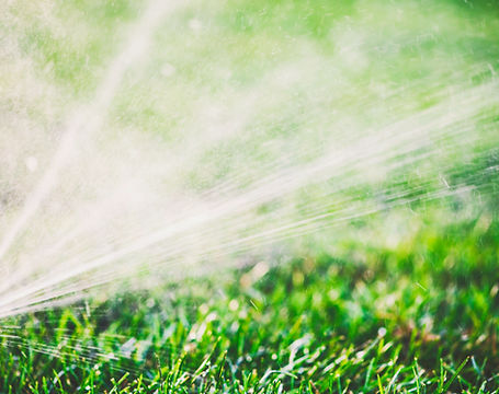 Water Sprinkler
