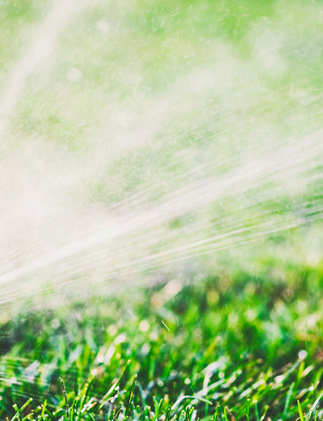 Water Sprinkler