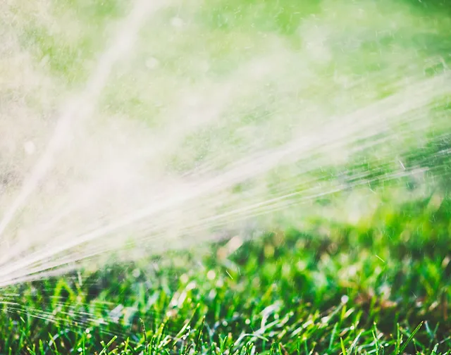 Trucare Lawn Care Grass Mowing Easton Pa