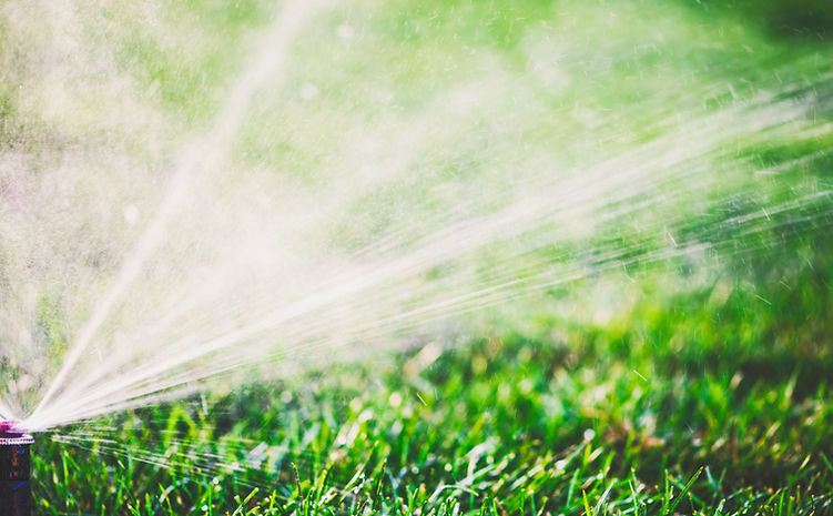 Water Sprinkler