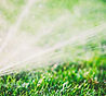 Sprinkler on Lawn