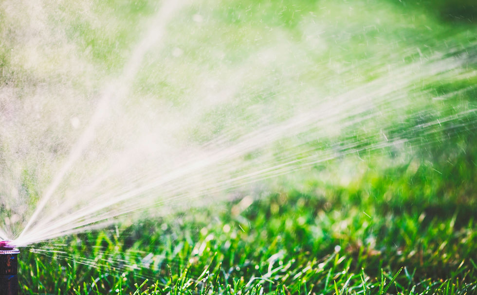 Sprinkler on Lawn