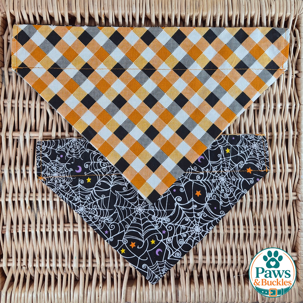 Thumbnail: Spider Web Reversible Dog Bandana