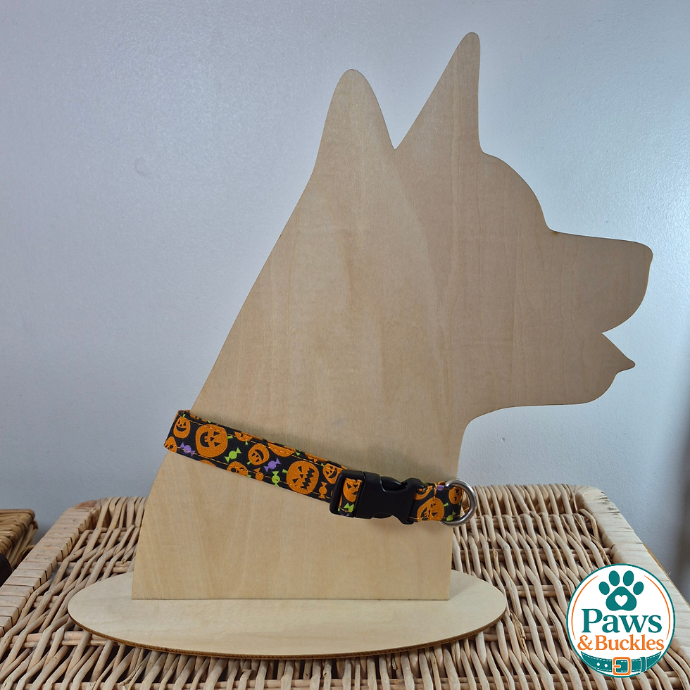 Thumbnail: Halloween Dog Collar - Pumpkin