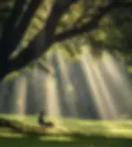 555.webp