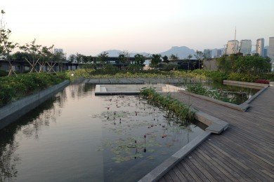 啓德郵輪碼頭公園 - 水景花園.jpg