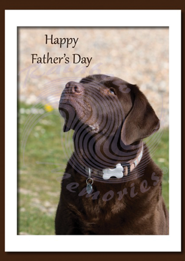Happy Father's Day (from dog)