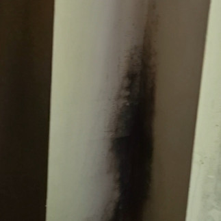 Mould by the window