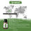 Thumbnail: Spearmint Essential Oil, Simply Earth