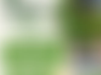 AfroEcology Series: Huckleberry Hills