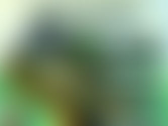 AfroEcology Series: Rattlers in High Tunnels