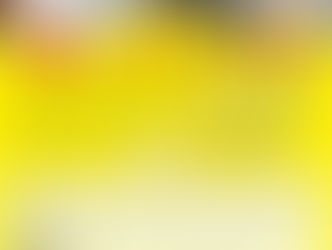 第21回ねこまつりat湯島明日スタート！