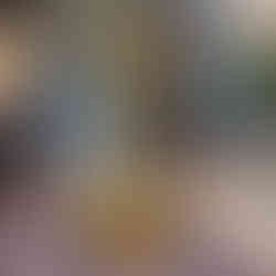 Begehrte Players Trophy