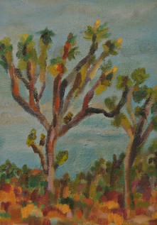 Study of the Joshua Tree, Joshua Tree National Park