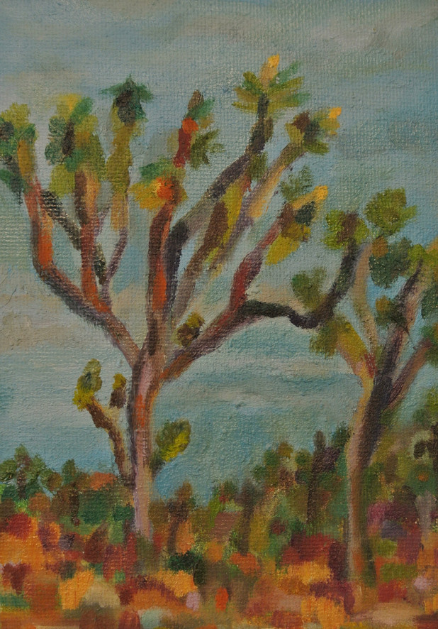Study of the Joshua Tree, Joshua Tree National Park