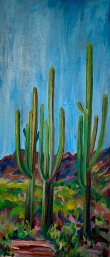 Saguaro National Park