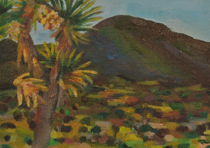 Covington Flats, Joshua Tree National Park