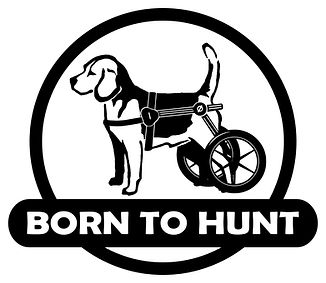 canine wheelchair 6 - Copy.jpg