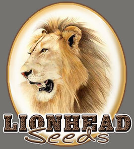 lions-head-seeds-for-email.jpg