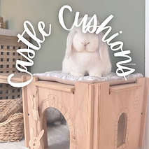 Made For Paws Category Photos.png