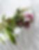 Wedding Chateau Bouffemont Wedding Cake Louise Leveau Photographe-31_edited.jpg