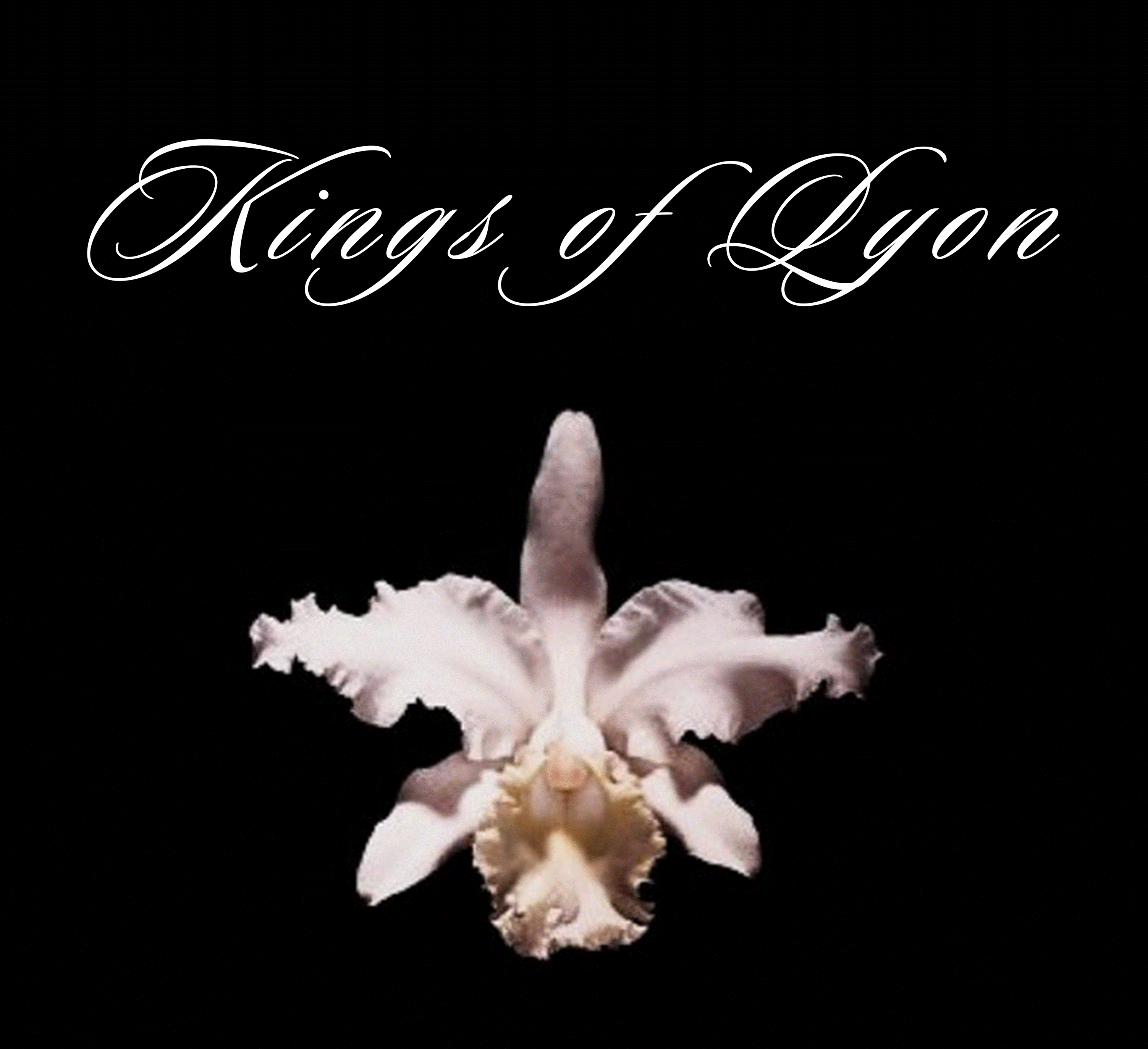 Kings Of Leon Tribute Band. KOL Tribute