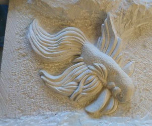 Kampffisch, Zwischenzustand