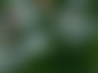 Property Investment with Purpose: How to Drive Profit and Community Regeneration in Stoke-on-Trent & Crewe