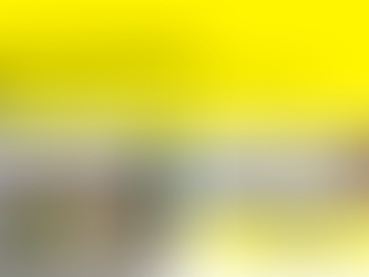 Panic is for Amateurs: 5 Surprising Realities of the 2025 UK Rental Market