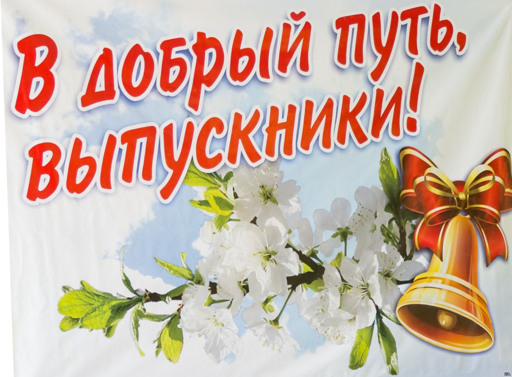 Рисунок к последнему звонку для выпускников, баг супер-кот