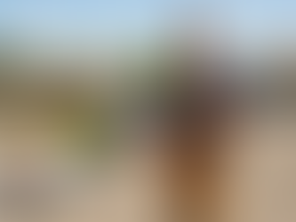 Critical Questions Every Homeowner Should Ask: Essential Questions for Home Inspections