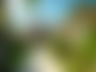 Breaking Down Home Inspection Pricing in the U.S. Virgin Islands