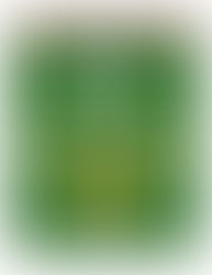 Hazel Park City Guide