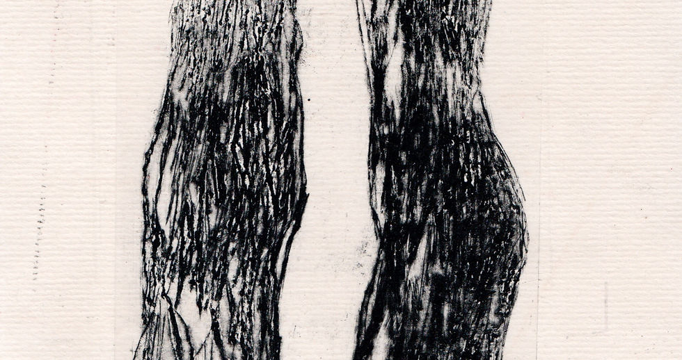 img20221128_13103443_edited.jpg