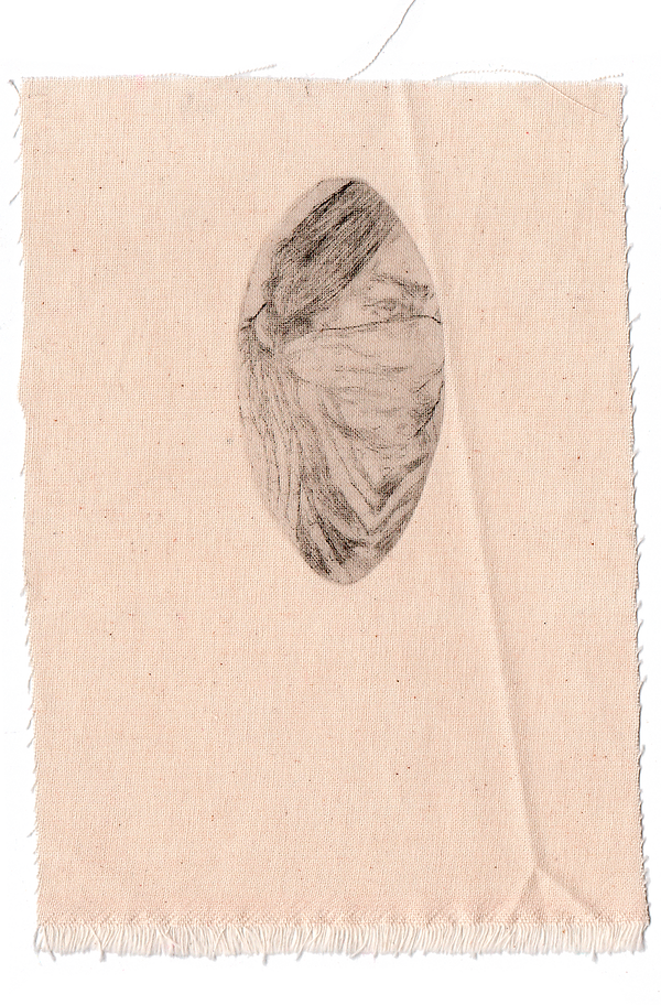 img20231109_20100003.png