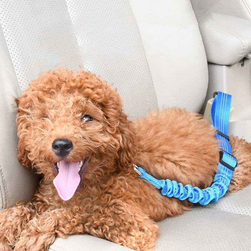 Shock-Absorbing Elastic Dog Car Seat Belt - Heavy Duty Pet Safety Tether