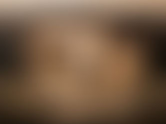 They’re Closer Than You Think: Hidden Termite Colonies Inside Curaçao Homes