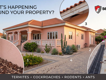 WHAT'S HAPPENINGAROUND YOUR PROPERTY?