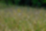 DSCF2019.JPG