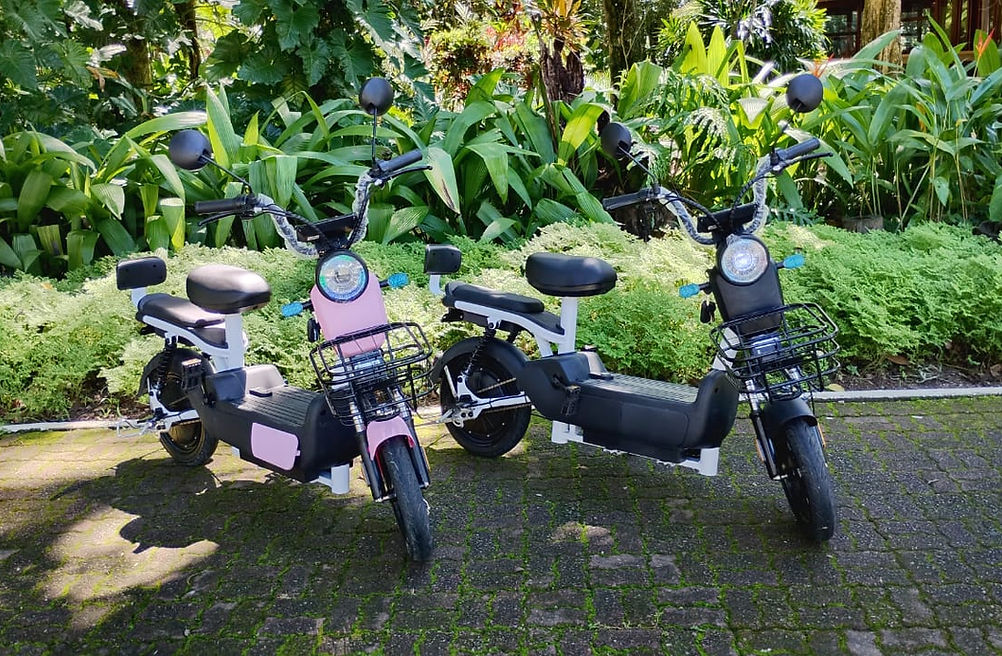 WhatsApp Image 2026-04-06 at 10.54.52.jpeg