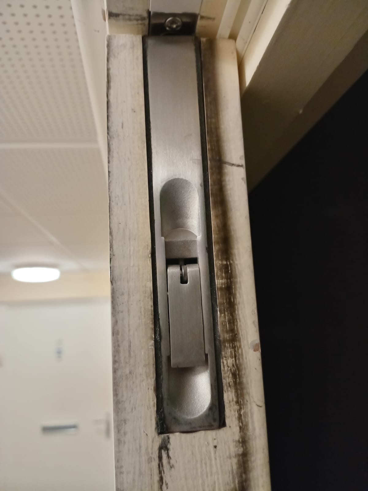 Flush-bolt detail on a service door, Tynee Court